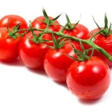 Tohumcumm 250 Adet Tohum Süper Paket Cherry Çeri Domates Tohumu Saksı Toprak Hediyeli