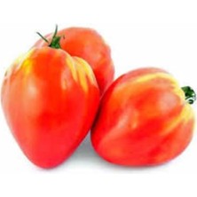 Tohumcumm 100 Adet Tohum Nadir Dana Yüreği Organik Sırık Domates Saksı Topraklıdır