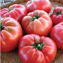 Tohumcumm 100 Adet Tohum Nadir Dev Boy Okka Kırmızı Domates Tohumu Organik Köy