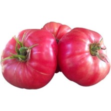 Tohumcumm 50 Adet Tohum Nadir İri Pembe Oturak Köy Bulgar Domatesi Tohumu Bulgar Pembe Domates Tohum