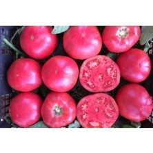 Tohumcumm 100 Adet Tohum Nadir İri Pembe Bulgar Köy Domatesi Tohumu Hobi Bahçe Domates Tohumu Hediye Tohumlu