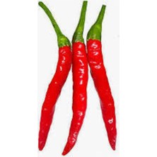 Tohumcumm 160 Adet Tohum Süper Paket Şili Biberi Tohumu Acı Chili Biberi Tohumu Sürpriz Hediye Sebze Tohumu