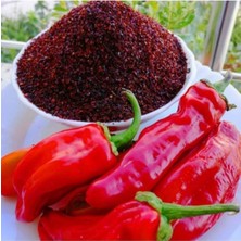 Tohumcumm 100 Adet Tohum Organik  Çok Acı Urfa Isot Biberi Tohumu Biber Tohumu Saksı Toprak Hediyemiz
