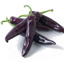 Tohumcumm 100 Adet Tohum Nadir Acı Mor Süs Biberi Tohumu Mor Süs Biber Tohum Hediye Tohumlu