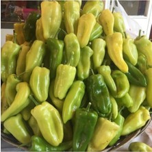 Tohumcumm 100 Adet Tohum Nadir Kale Acı Biber Tohumu Saksı Toprak Hediyelidir