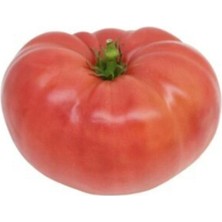 Tohumcumm 50 Adet Tohum Ayaş Domates Köy Tohumu Ayaş Domatesi Tohumu Saksı Toprak Hediyemizdir