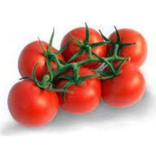 Tohumcumm 50 Adet Tohum Salkım Domates Tohumu Erkenci Domates Sürpriz Hediye Tohum