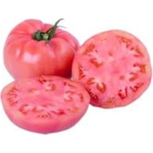 Tohumcumm 100 Adet Tohum Nadir Yassı Yerli Köy Domatesi Tohumu Yeni Hasat