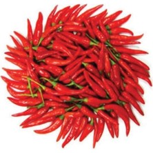 Tohumcumm 50 Adet Tohum Eko Paket Şili Biberi Tohumu Çok Acı Chili Biberi Tohumu Sürpriz Hediye Sebze Tohumudu