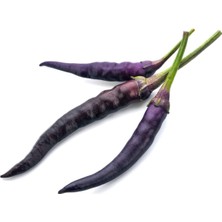 Tohumcumm Acı Mor Cin Biber Tohumu Cin Biber Tohumu 25 Adet Tohum + Sürpriz Hediye Tohum