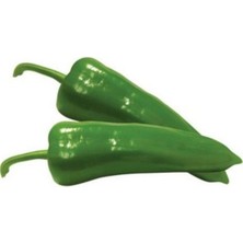 Tohumcumm 200 Adet Tohum Hobi Balkon Taze Yeşil Yağlık Biber Tohumu Hediye Tohum