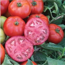 Tohumcumm 30 Adet Tohum Ayaş Domates Köy Tohumu Ayaş Domatesi Tohumu Saksı Toprak Hediyemizdir