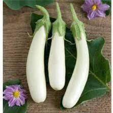 Tohumcumm 10 Adet Tohuım Nadir Beyaz Kemer Patlıcan Tohumu Kemer Patlıcan Tohumu Sürpriz Hediye Sebze Tahumla