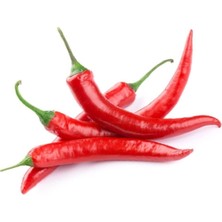 Tohumcumm Şili Biber Tohumu Çok Acı Chili Biber Tohumu 25 Adet Tohum