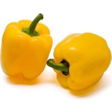 Tohumcumm Sarı Tatlı Dolmalık Biber Tohumu 15 Adet Tohum