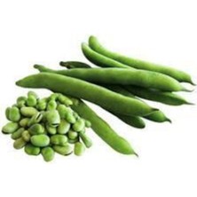 Tohumcumm 50 Adet Tohum Eko Paket Yerli Sakız Bakla Tohumu Adet Tohum Sürpriz Hediye Tohum