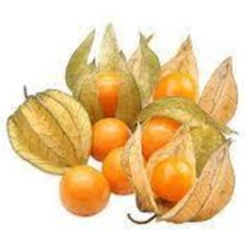 Tohumcumm 10 Adet Tohum Tropikal Güney Feneri Altın Çilek Sarı Altın Çilek Tohumu Sürpriz Hediye Tohum