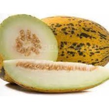 Tohumcumm 100 Adet Tohum Kırkağaç İnce Kabuk Altınbaş Kavun Tohumu Sürpriz Hediye Tohum