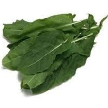 Tohumcumm 50 Adet Tohum Kuzu Kulağı Tohumu Koç Kulağı Ekşi Otu Tohumu Saksı Toprak Sürpriz Hediye Tohum