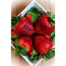 Tohumcumm 100 Adet Tohum Yeni Hasat Taze Çilek Tohumu Organik Köy Çileği Tohumu Saksı Toprak Hediyemiz