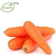 Tohumcumm 100 Adet Tohum Nadir Organik Hobi Balkon Bahçe Mini Parmak Havuç Tohumu Ata Tohumdur