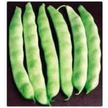 Tohumcumm 50 Adet Tohum Nadir Erkenci 40 Günlük Taze Fasulye Tohumu Hediye Tohum