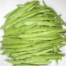 Tohumcumm 100 Adet Tohum Eko Paket Kılçıksız Simbo Fasulye Tohumu Nadir Fasülye Tohumu Sürpriz Hediye Tohumlu