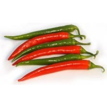 Tohumcumm Çok Acı Tür Macar Acı Biber Tohumu 20 Adet Tohum