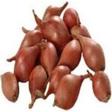 Tohumcumm 100 Adet Tohum Eko Paket Kıska Soğan Tohum Soğan Tohum Soğan Kıska Tohum Sürpriz Hediye Sebze Tohum
