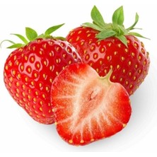 Tohumcumm 250 Adet Tohum İthal Nadir Saksılık Çilek Tohumu Yediveren Çileği Tohumu Saksı Toprak Hediyemiz