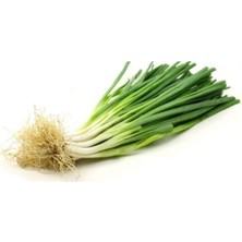 Tohumcumm 150 Adet Tohum Organik  Taze Firik Acısız Yeşil Soğan Tohumu Sürpriz Hediye Tohumludur