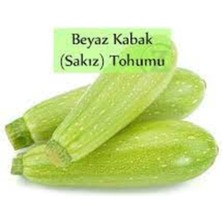 Tohumcumm 100 Adet Tohum Organik Taze Yeni Hasat Beyaz Kabak Tohumu Kalem Yeşil