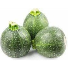 Tohumcumm 25 Adet Tohum Süper Paket Dolmalık Nadir Topak Kabak Tohumu Yuvarlak Kabak Tohumu Hediye Tohumludur