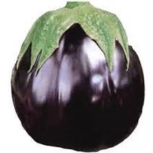 Tohumcumm 50 Adet Tohum Nadir İri Dev Patlıcan Bostan Patlıcanı Tohumu İthal