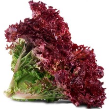 Tohumcumm 200 Adet Tohum Organik Bahçe Marul Tohumu Kıvırcık Lolorosso Sürpriz Hediye Tohumludur