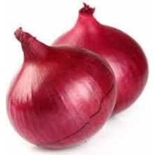 Tohumcumm 150 Adet Tohum Nadir İthal Mor Soğan Kışlık Uzun Ömürlü Soğan Tohumu Sürpriz Hediye Sebze Tohumu