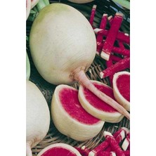 Tohumcumm 25 Adet Tohum Nadir Organik Çin Turp Tohumu Kaliteli Hasat Hobi Bahçe Balkon Saksılık Tohum