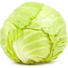 Tohumcumm 100 Adet Tohum Meşhur Beyaz Yalova Lahana Tohumu Organik Hediye Tohumlu