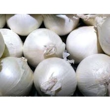 Tohumcumm 100 Adet Tohum  Köy Tatlı Beyaz Soğan Tohumu Sürpriz Hediye Sebze Tohumludur