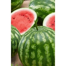 Tohumcumm 75 Adet Tohum Nadir Organik Hobi Bahçesi Crimson Sweet Karpuz Tohumu Yetiştirme Saksı Toprak Hediye