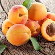 Tohumcumm 5 Adet Tohum Organik Bahçe Şekerpare Kayısı Tohum Saksı Toprak Hediyemiz