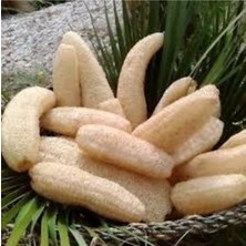 Tohumcumm 25 Adet Tohum Hasat Köy Lif Kabağı Tohumu Hakiki Ata Tohum Hediye Tohumlu