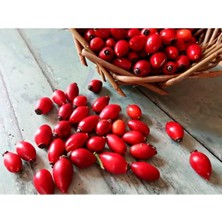 Tohumcumm 10 Adet Tohum Yabani Dağ Kuşburnu Tohumu Organik Bahçe Doğal Dağ Kuşburnu Hediye Tohumlu