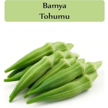 Tohumcumm 200 Adet Tohum Organik Uzun Saksılık Balkon Bamyaları Tohum Yerli Yeni Hasat Bamya Tohum