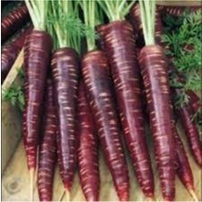 Tohumcumm 100 Adet Tohum Eko Paket Esvet Mor Havuç Şalgam Tohumu Sürpriz Hediye Tohumludur