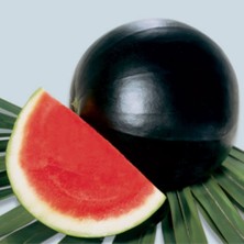 Tohumcumm Süper Paket Siyah Karpuz Tohumu Kara Karpuz Tohumu 150 Adet Tohumu