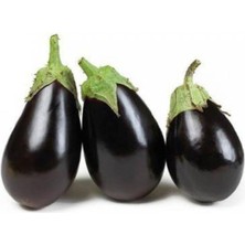 Tohumcumm Topak Patlıcan Tohumu Adana Topak Patlıcan Tohumu Ekim Seti 25 Adet Tohum + Saksı + Toprak