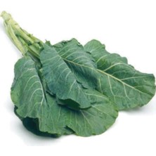 Tohumcumm Yerli Karadeniz Lahana Tohumu Kara Lahana Tohumu 50 Adet Tohum