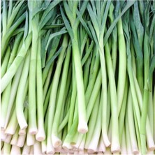 Tohumcumm 200 Adet Tohum Köy Tohumu Bursa İnegöl Pırasa Tohumu Prasa Tohumu Sürpriz Hediye Sebze Tohumludur