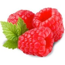 Tohumcumm 15 Adet Tohum Ahududu Tohum Frambuaz Tohumu Kırmızı Böğürtlen Tohumu